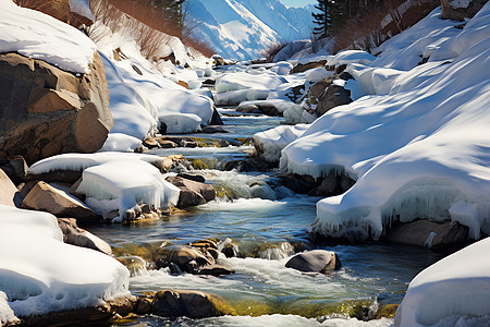 冰雪覆盖的溪流图片