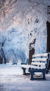 冬日白雪覆盖的孤寂长椅图片