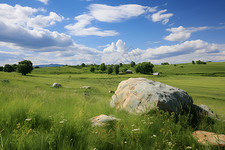 草地上的一块大石头高清图片