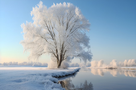 冬日静谧的湖心图片