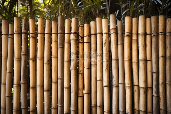 竹子搭建的围栏图片