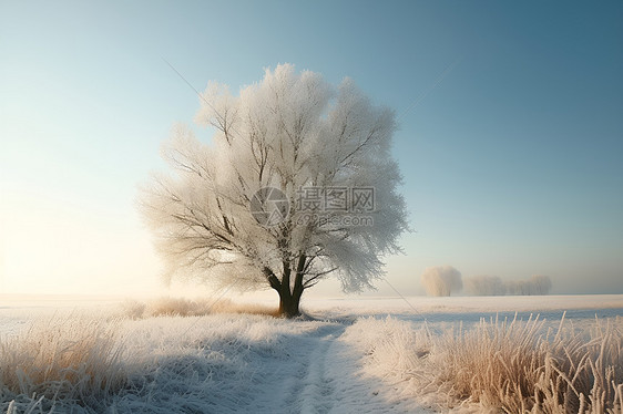 冰雪中的孤独之旅图片