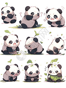 可爱搞笑的小熊猫背景图片