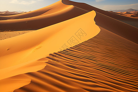 沙漠中的纹理背景图片