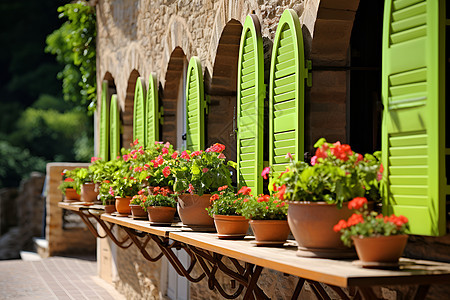 窗台的鲜花盆栽图片
