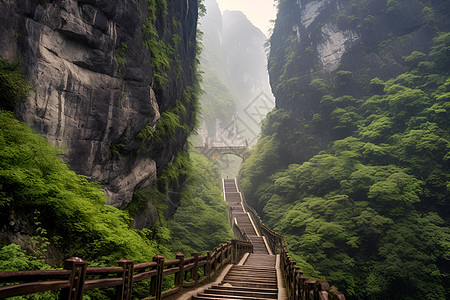 通往山上的阶梯图片