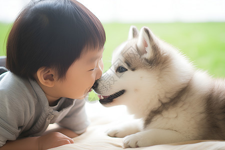 陪伴小主人的宠物图片