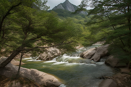 森林河流背景背景图片