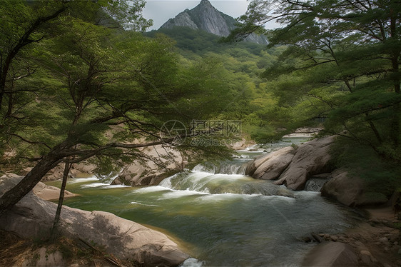 森林河流背景图片