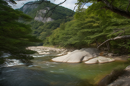 森林河流景观图片