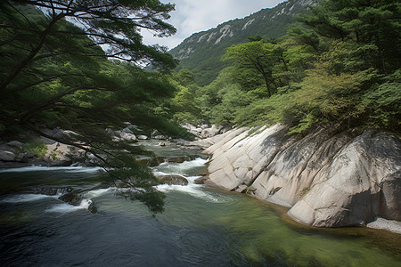自然河流景观背景图片