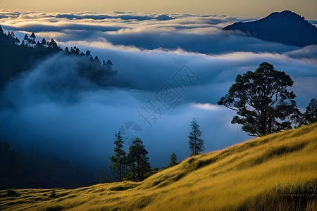 迷雾蒙蒙的山峰图片