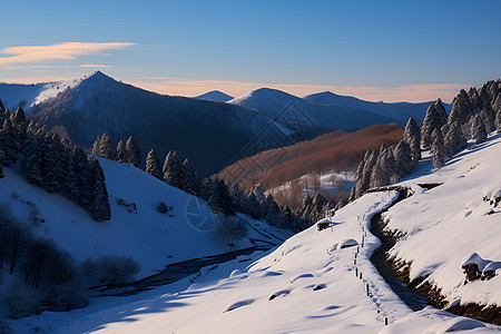冬日山谷图片