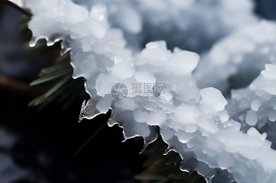 冬日冰晶中的冰晶图片
