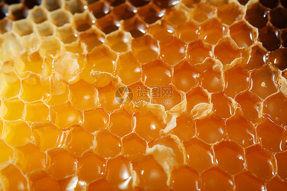 蜜蜂制作的美味图片