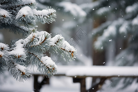 冰雪交加中的冬日乐园背景图片