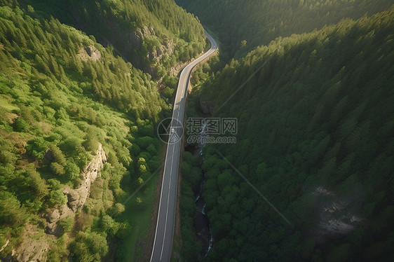 森林中曲径的公路图片