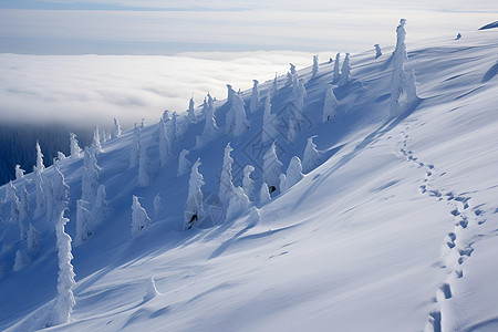 雪山滑雪之旅图片