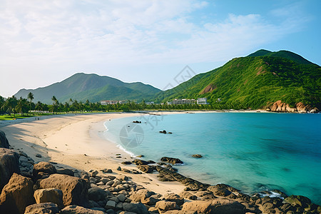 岛屿和海滩图片