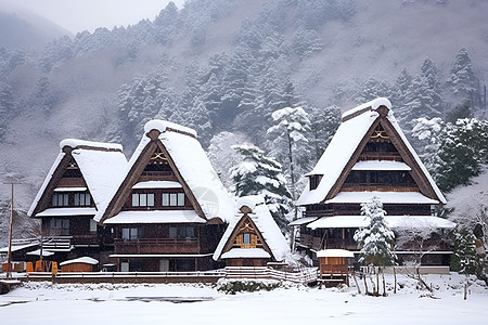 雪覆盖的房屋图片