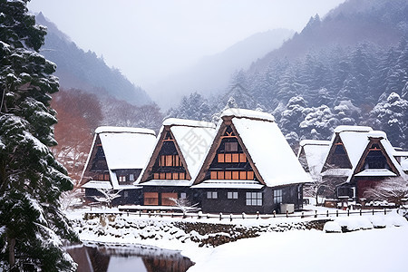 冬日房屋和树木图片