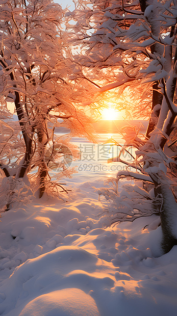 美丽的冬日日出景观图片