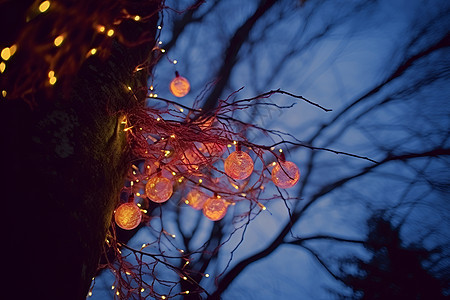 神奇树下的闪烁灯海图片