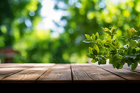 木桌上清新的植物图片