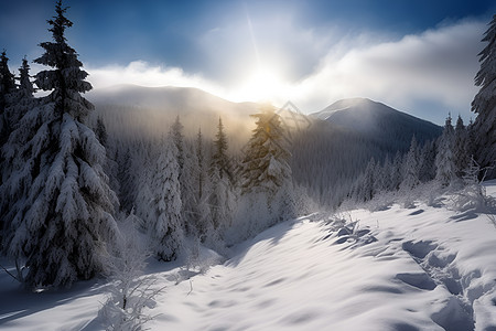 冬季户外的山林背景图片