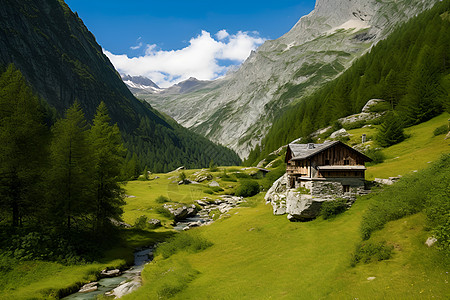 宁静山谷草地图片