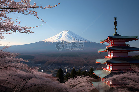 富士山下的樱花树图片