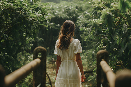 长发女子背影树林的白裙女子背景