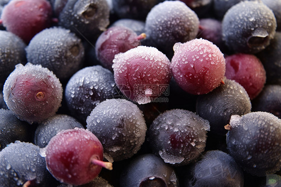 紫色浆果上的冰霜图片
