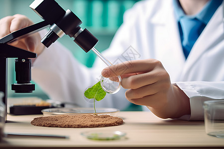 植物化学试验中的叶子背景