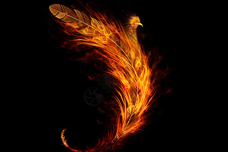 神奇的火焰羽毛图片