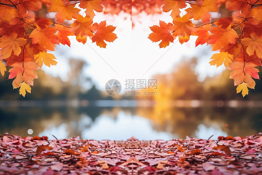 秋日的湖畔图片