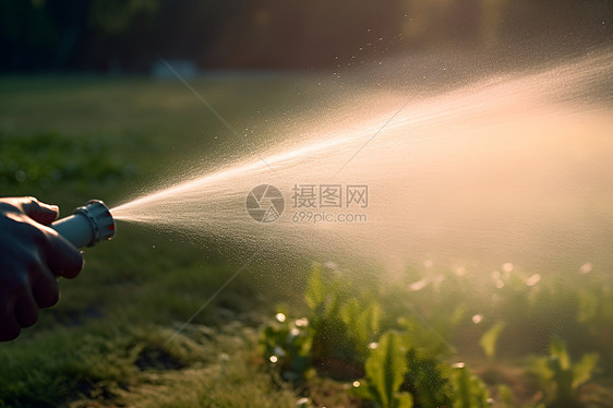 给草地浇水的园丁图片