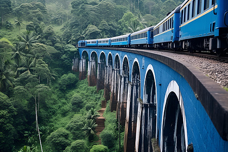 火车穿越森林的桥梁图片