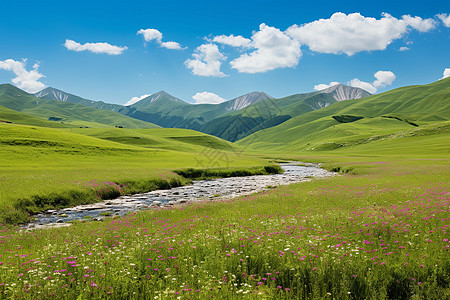 流水美丽的田野河流背景