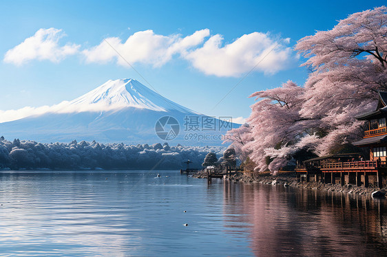 富士山壮丽景观图片