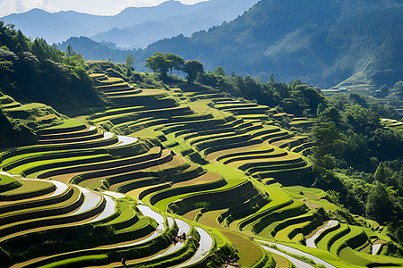 梯田风景背景图片