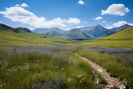 山丘美景图片