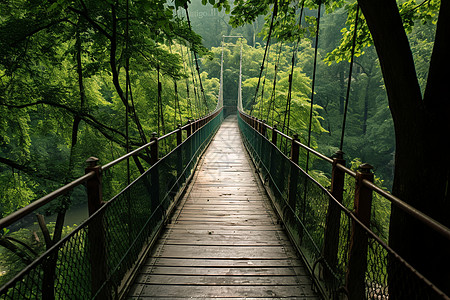森林里的悬索桥高清图片