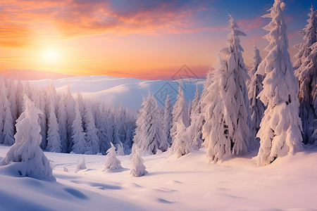冬季白雪覆盖的山林景观背景图片