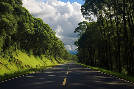 高速公路边的美丽景色图片