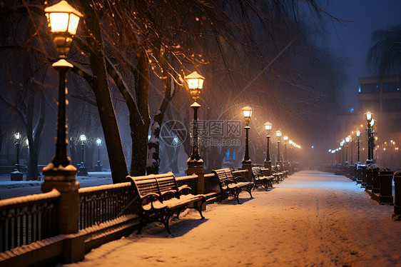 冬季夜幕下的城市街道图片