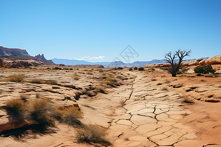 荒芜一人的沙漠景观背景图片