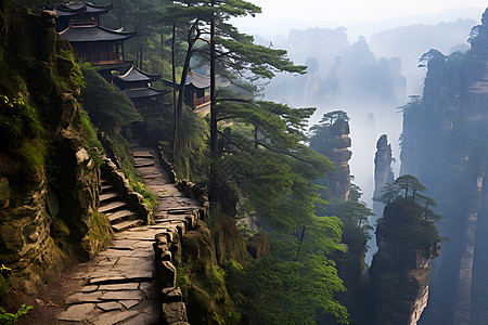 林中小道山林中的悬崖小道背景