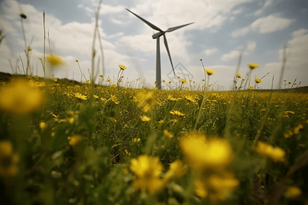 风力涡轮机在黄花丛中背景图片