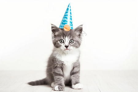 小猫戴生日帽图片